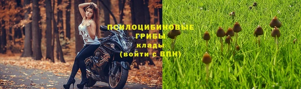 mdpv Шадринск