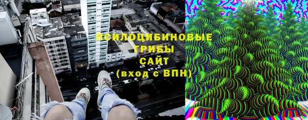 мет Шали
