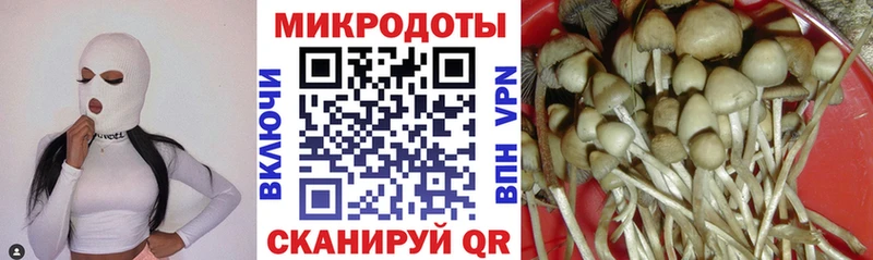 Галлюциногенные грибы Magic Shrooms  Бирюсинск 
